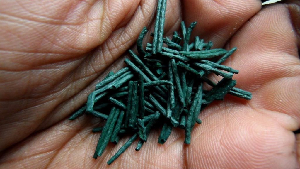 vegan omega-3, vegan omega 3, vegan dha, vegan epa, vegan fatty acid, essential fatty acids, spirulina, algae, supplement